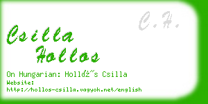 csilla hollos business card